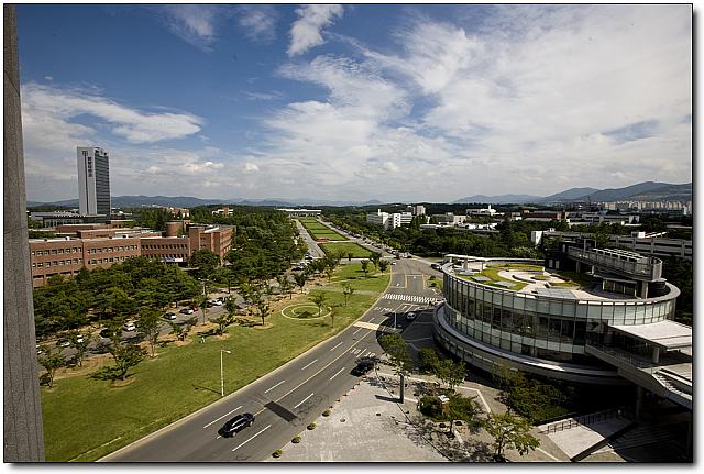 嶺南大学