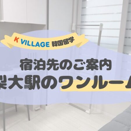 ご宿泊先のご案内（2号線の梨大駅・ワンルーム）
