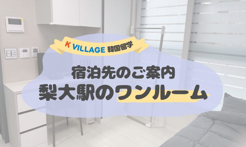 ご宿泊先のご案内（2号線の梨大駅・ワンルーム）